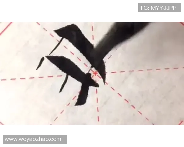 周秀英专访：从初学者到滑板高手的成长之路与心路历程分享