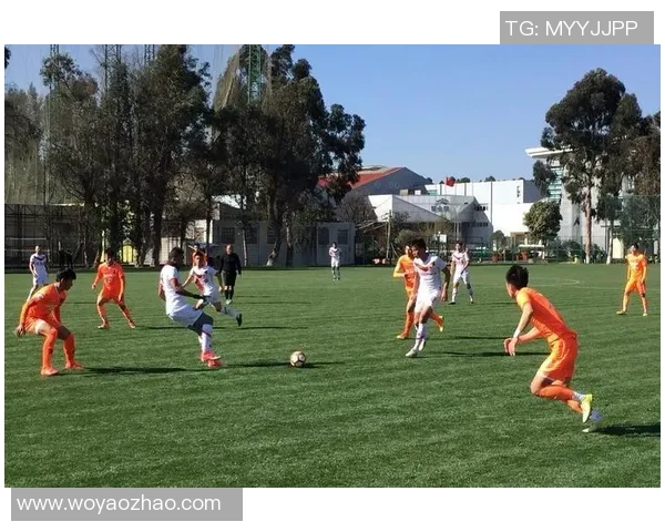 广州乒乓球队阵地战打法深度分析与战术解读