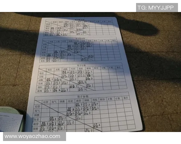 武汉排球队员个人能力分析与发展潜力探讨