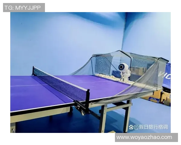 杨军独家分享乒乓球技巧与心得体会助你提升球技的秘诀与经验